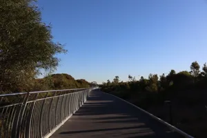 2025-06-21 Bartons Park - IMG_2577_compressed_q50.webp